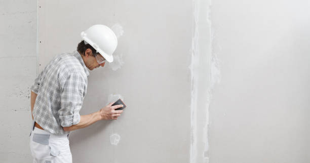Best Mold Remediation for Healthcare Facilities  in Port Carbon, PA