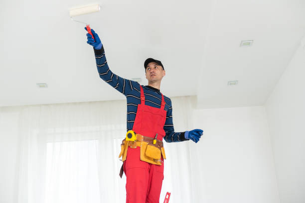 Dehumidification Services in Port Carbon, PA