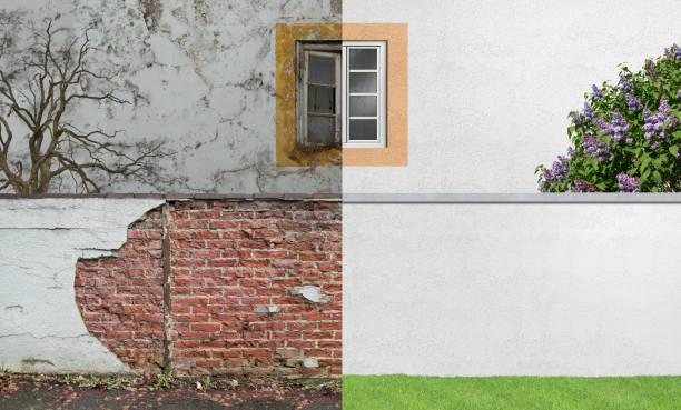 Best Residential Mold Inspection & Testing  in Port Carbon, PA